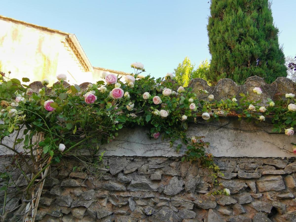 La Taniere 16 Couchages Villa Vergèze Kültér fotó